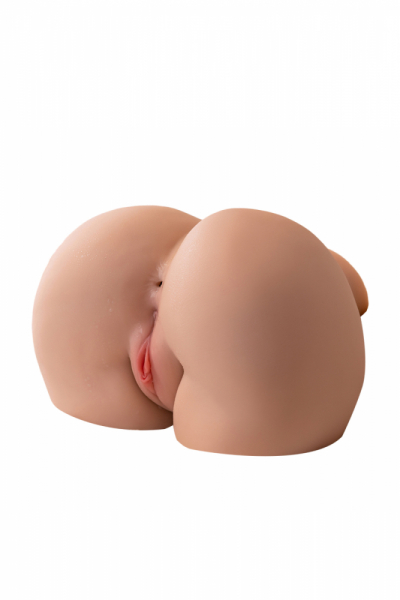 XS-V50121