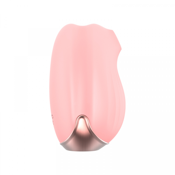 85810_33256
