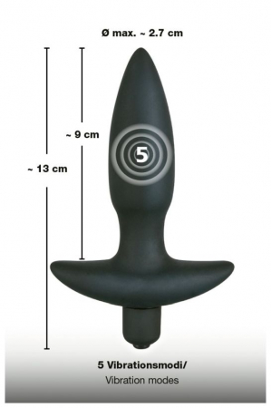 55449_21081