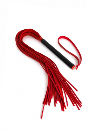 pl-08-bl-1