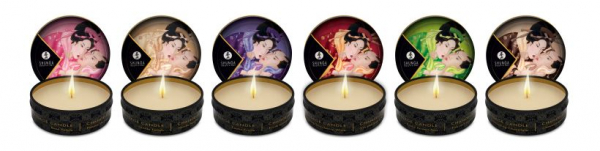 50917_23532