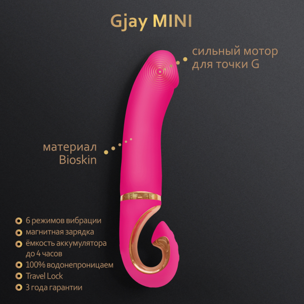 Gvibe_MiniVERS_GjayMINI_3000x3000_Features_RU_02