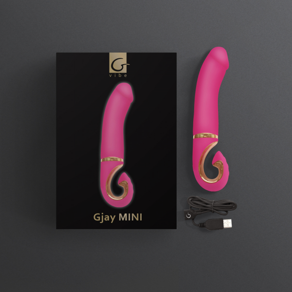 Gvibe_MiniVERS_GjayMINI_3000x3000_box_open