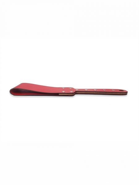 PDL-02-r-wh-5
