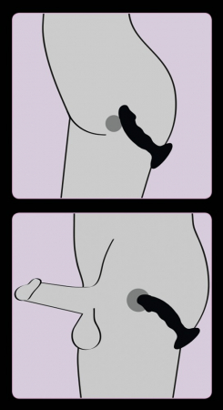 83895_27082