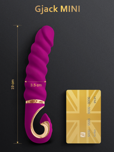 Gvibe_MiniVERS_GjackMINI_1350x1800_size
