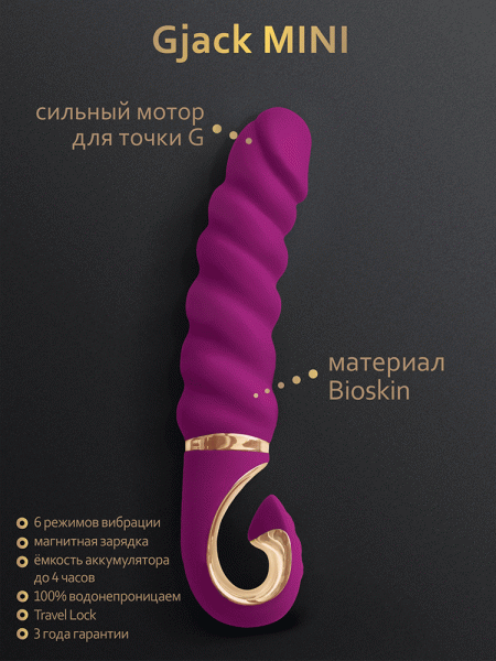 Gvibe_Gjack_MINI_750x1000