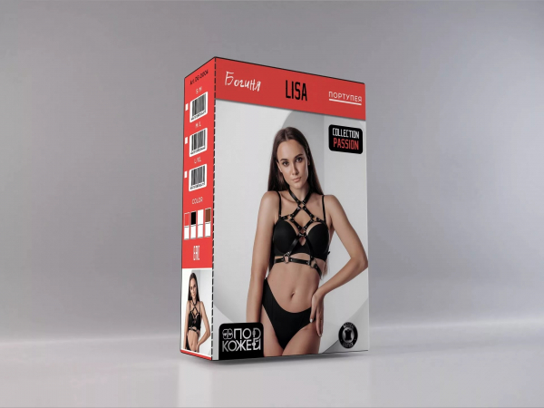 dg-0004-lisa_3d