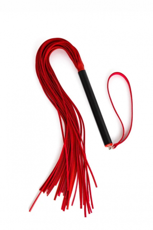 pl-08-bl-3