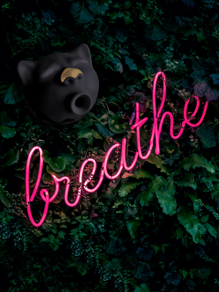 Gvibe_Gcat_1350x1800_05