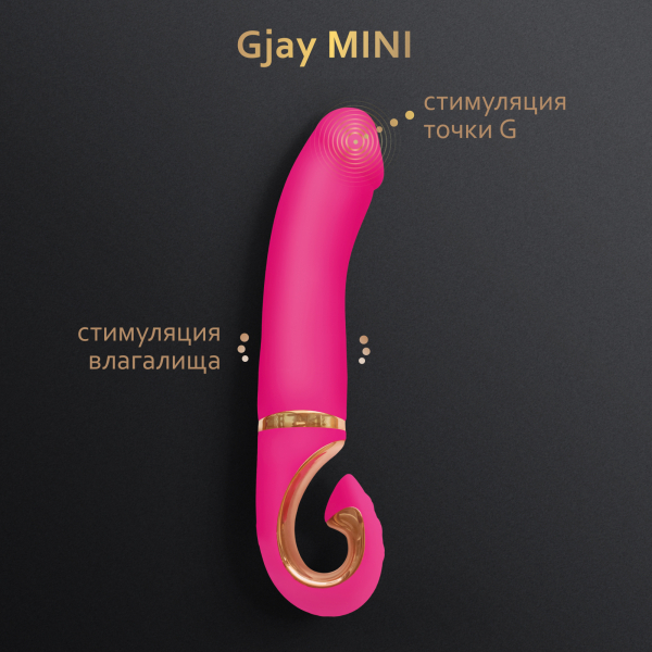 Gvibe_MiniVERS_GjayMINI_3000x3000_Features_RU_01