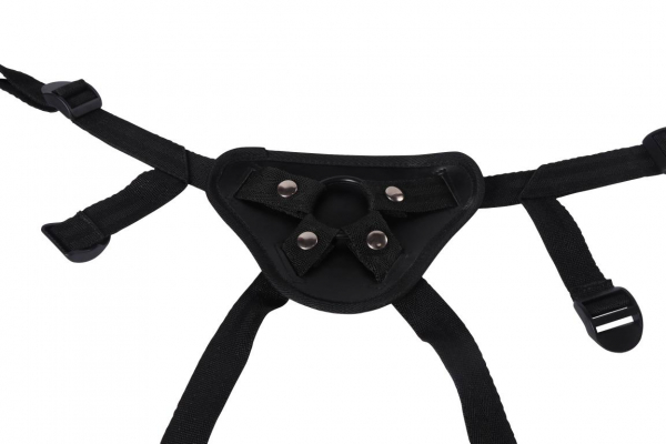 RP10038-STR-df-4