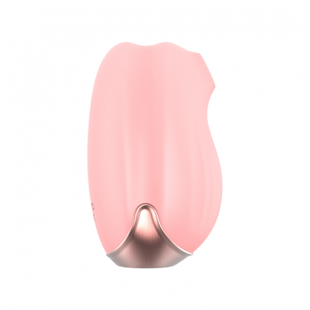 85810_33256