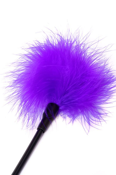 1b98a7560f76e06ad7cd6e3912d2c989