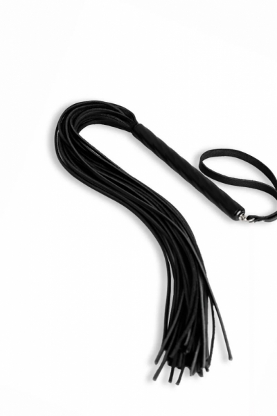 pl-06-bl-1